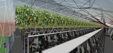 1620平方米实用型雾培蔬菜工厂设计卓越优势——电脑动画设计的应用